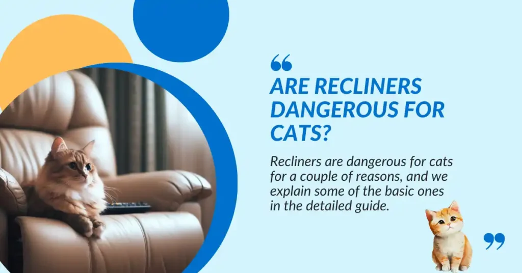 are recliners dangerous for cats or pets